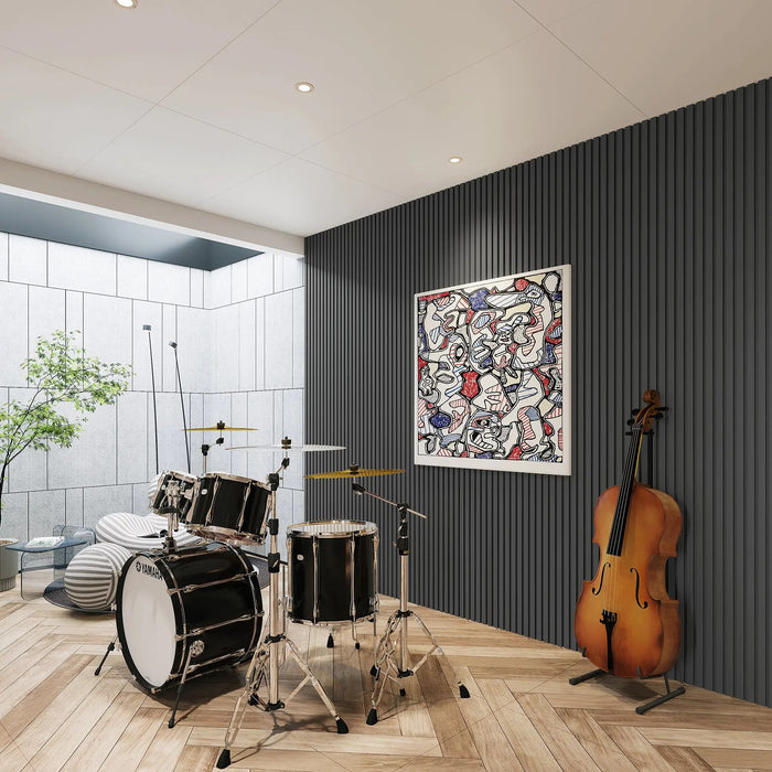 Acoustical 100% Polyester Wall Panel, 48x24x0.7 Sound Proof Wall Panels HAUSVITA