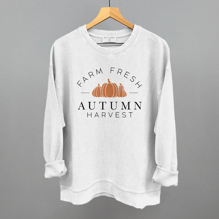 Oversized Corded Crew / White / S