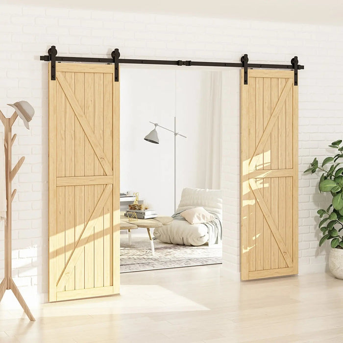 Barn Door Track Kit for Double Door (No Door) HAUSVITA