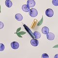 Blueberry Field Mouse - Special Edition