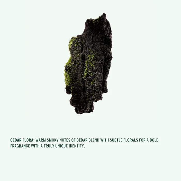 Deodorant Spray (Cedar Flora)