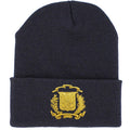Dominican Shield Skully Black Beanie Hat Peligro Sports