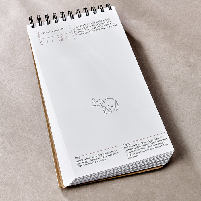 Draw the Line – Kathryn Temple