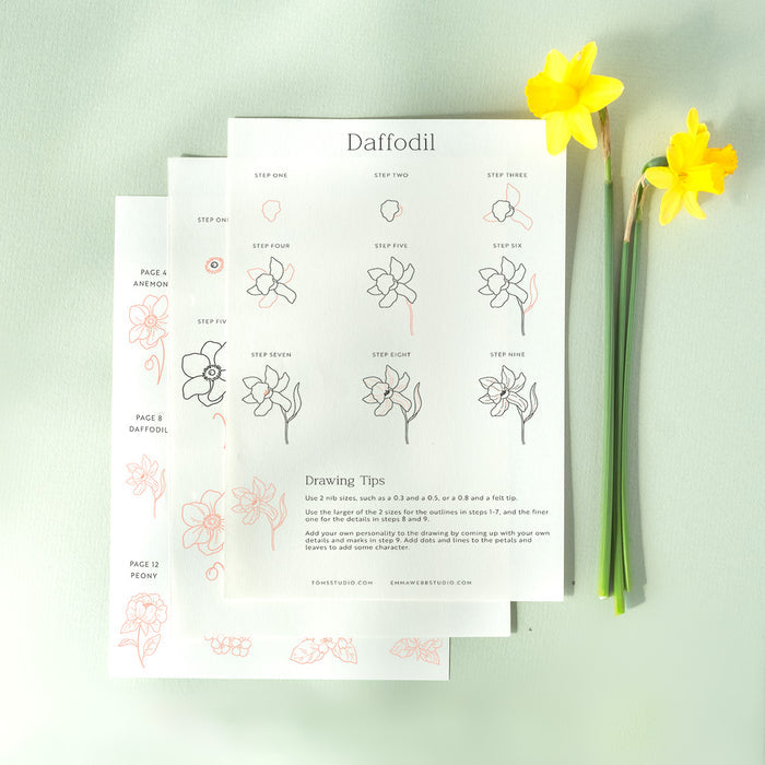 Drawing Guide: English Country Garden