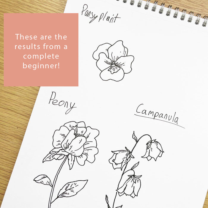 Drawing Guide: English Country Garden