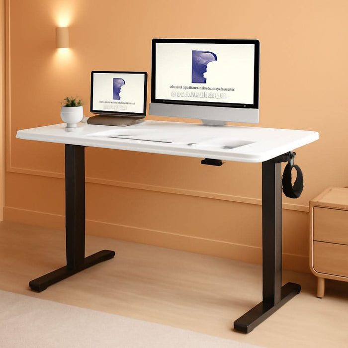Electric Height Adjustable Standing Desk 48X24 Inches ShipItFurniture