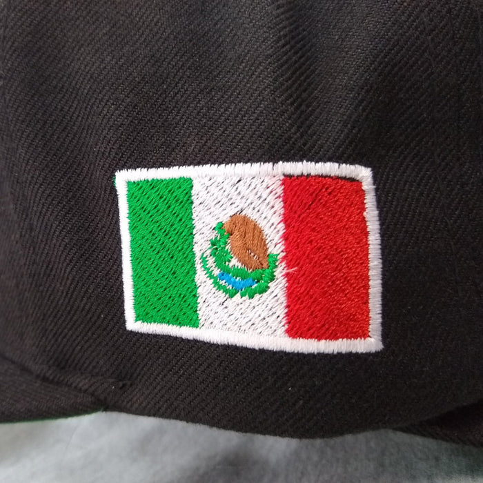 Embroidered Eagle and flag Mexico WIDE logo SnapBack hat Peligro Sports