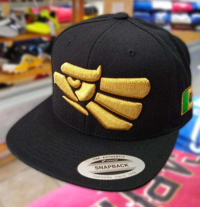 Embroidered Eagle and flag Mexico WIDE logo SnapBack hat Peligro Sports