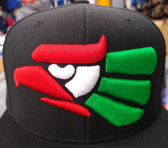 Embroidered Eagle and flag Mexico WIDE logo SnapBack hat Peligro Sports