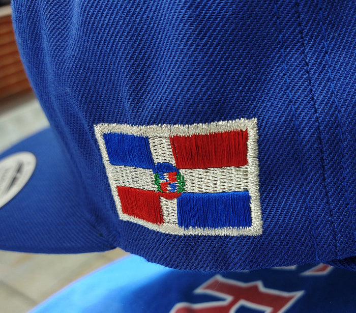Escudo Republica Dominicana - Dominican Snapback Royal - Metallic Silver Hat Peligro Sports