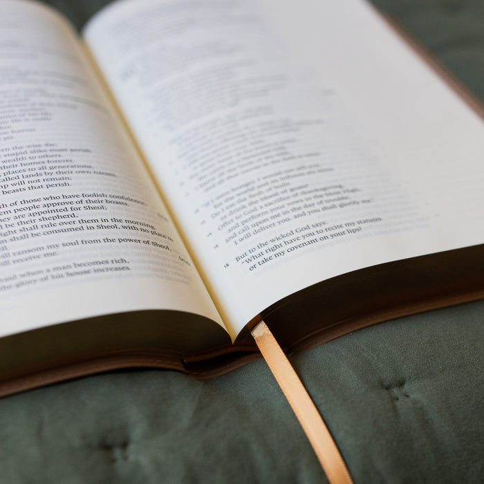 ESV Journaling Bible up close of the spine and the tassle on a green blanket