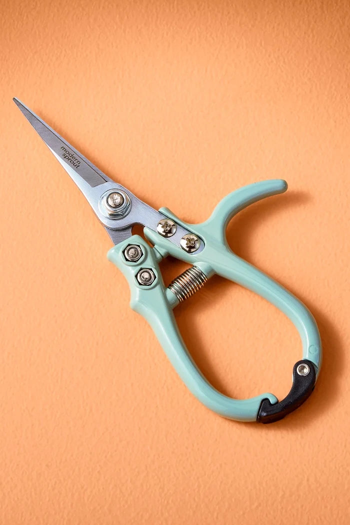 Teal gardening shears on a peach background