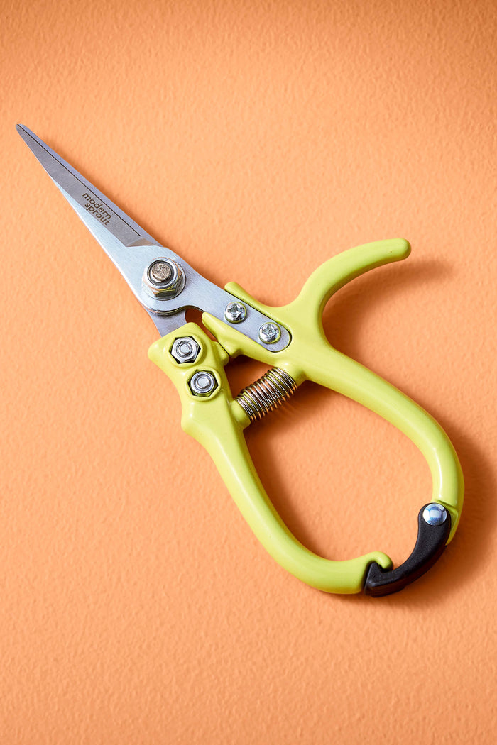 Garden Shears (Various)