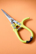 Garden Shears (Various)