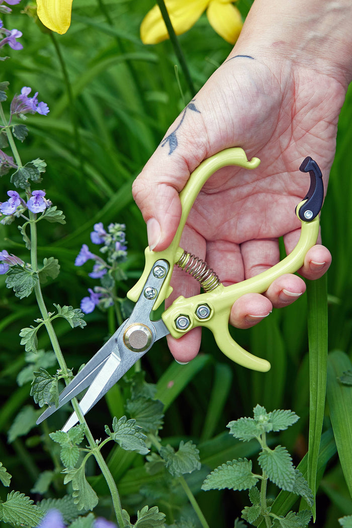 Garden Shears (Various)