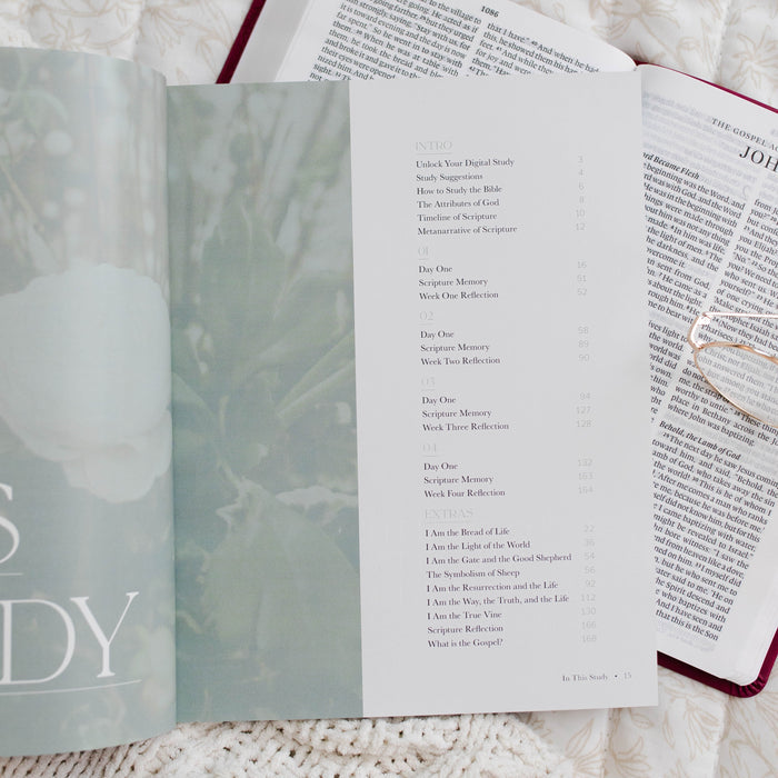 Bible Study for Christian Women