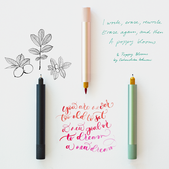 The Lumos Mini refillable pen (left to right) Black, Blush and Sage shown on samples of illustration and lettering creating using the interchangeable tips