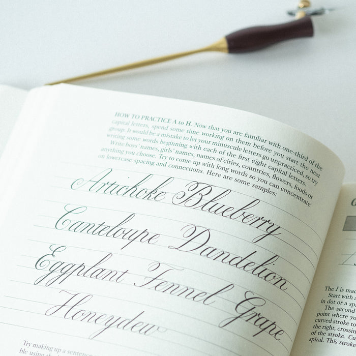 Mastering Copperplate Calligraphy by Eleanor Winters book internals with the Bloom Oblique Calligraphy Pen in Dark Mulberry