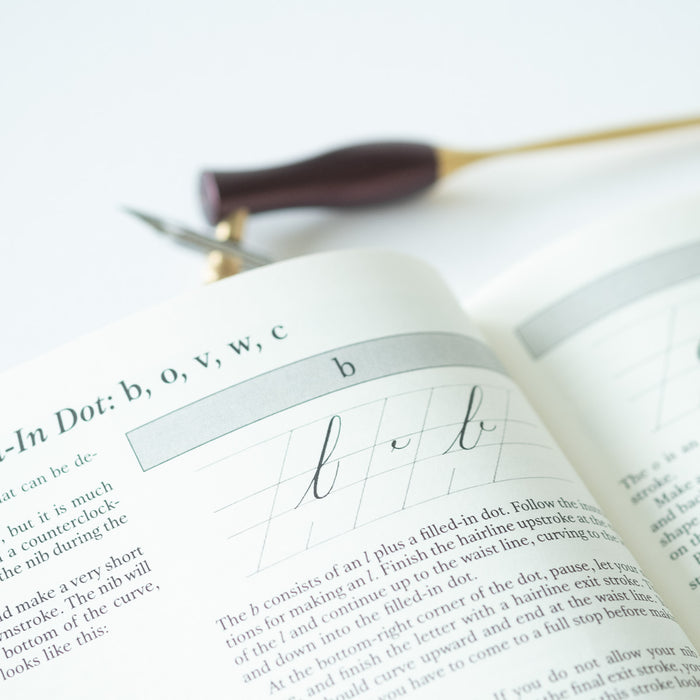 Mastering Copperplate Calligraphy by Eleanor Winters book internals with the Bloom Oblique Calligraphy Pen in Dark Mulberry