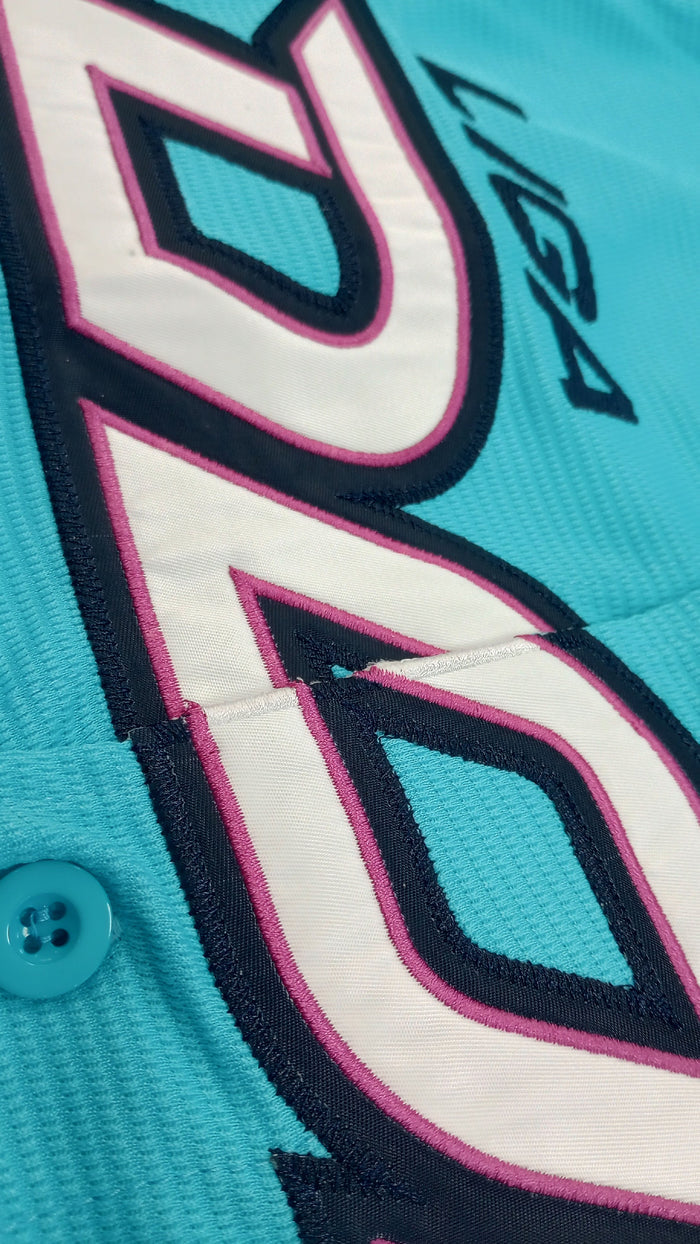 Men's Serie del Caribe 2024 OFFICIAL Dominicana Jersey - Teal Peligro Sports