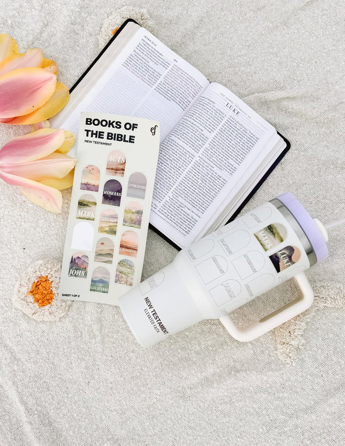 NT Bible Checklist 40 oz Tumbler Elevated Faith