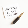 Pro-Flex fountain pen nib