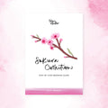 Sakura Collection Drawing Guide