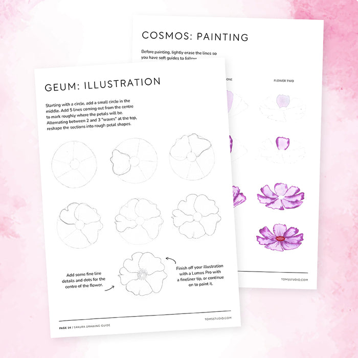 Sakura Collection Drawing Guide