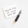 Titanium Flex fountain pen nib