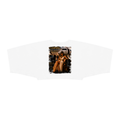 Women's Boxy Batwing Sleeve T-Shirt
